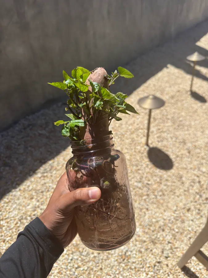 In the field with Big Soil